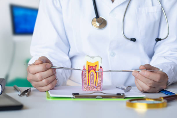 Best Dentist for Dental Trauma  in Clemson University, SC